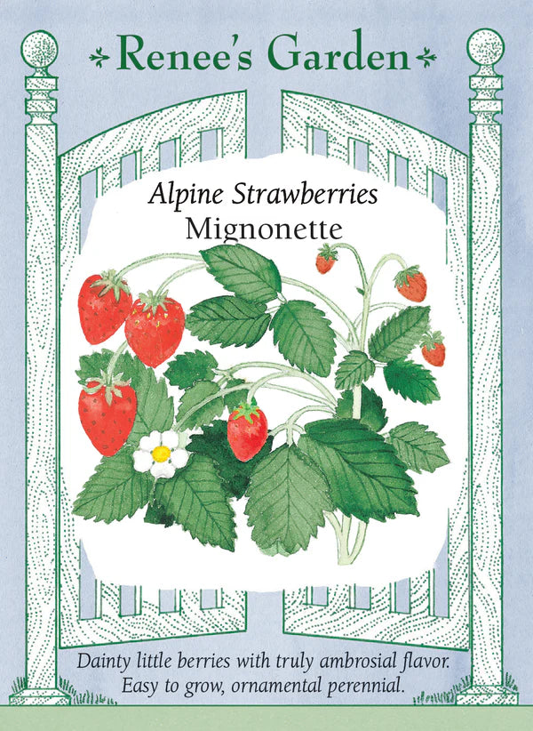 Alpine Strawberries Mignonette Seeds