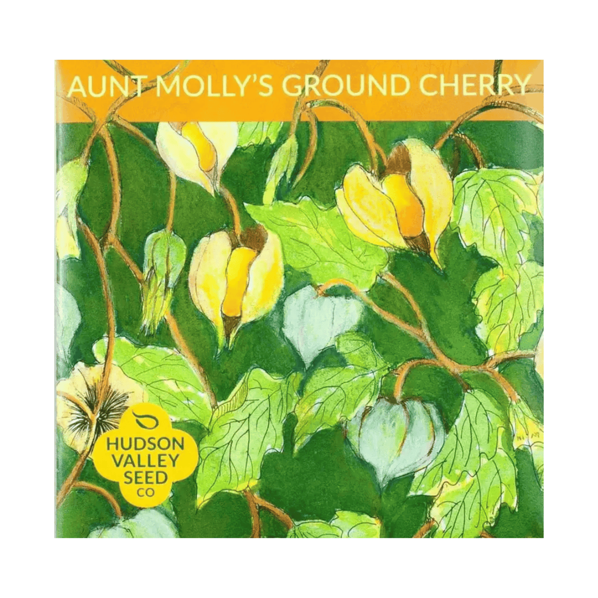 Aunt Molly&#39;s Ground Cherry Seeds