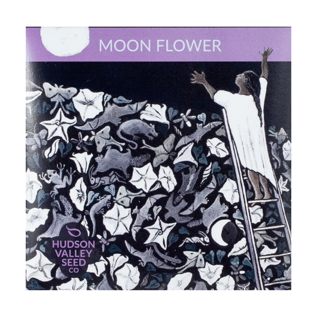 Moon Flower Seeds
