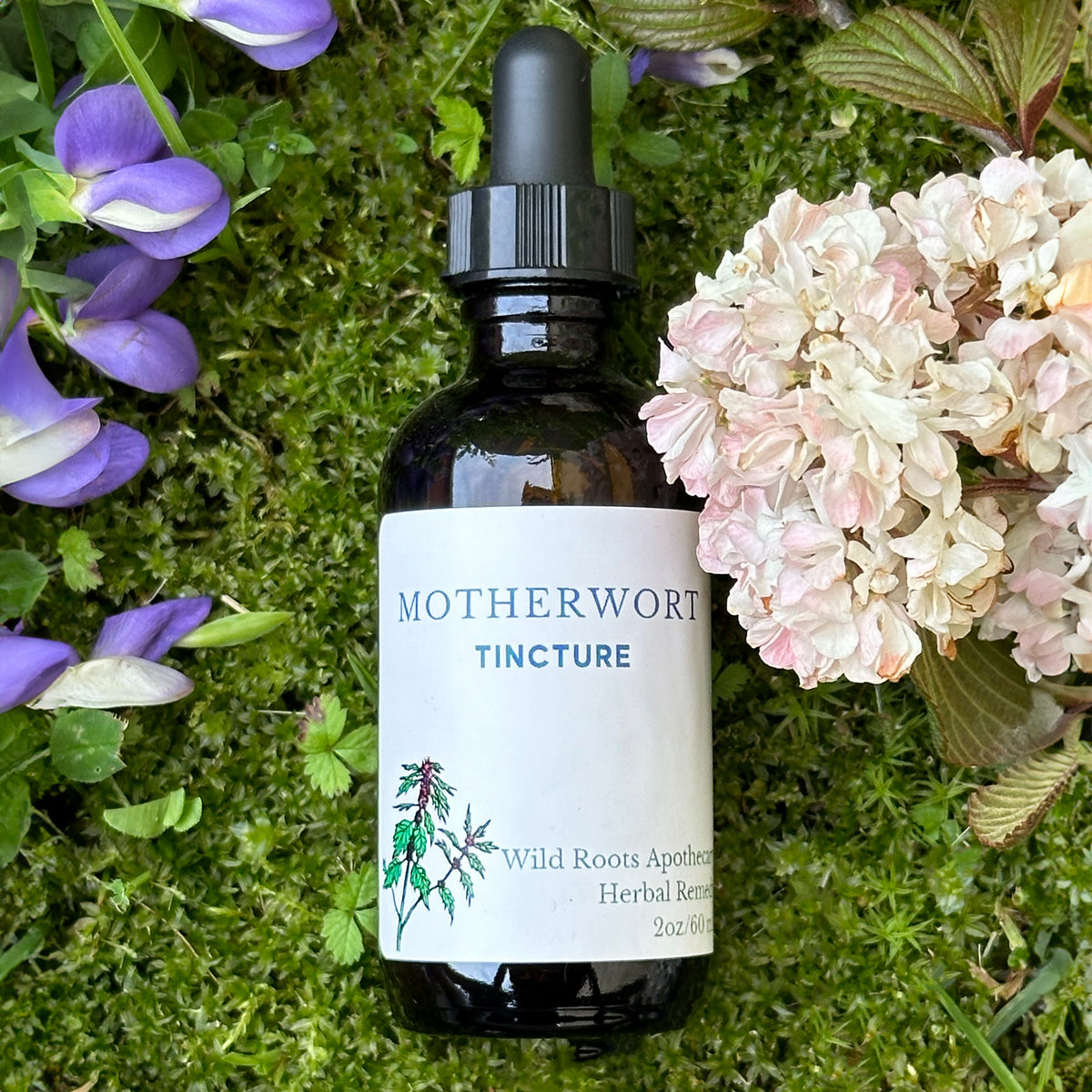 Motherwort Tincture—Wild Roots Apothecary