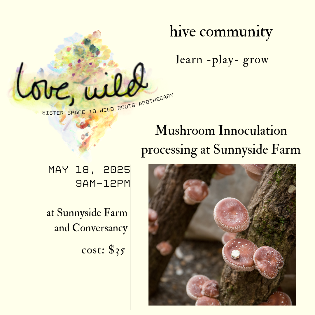 Shitake Mushroom Inoculation Workshop at Sunnyside Farm