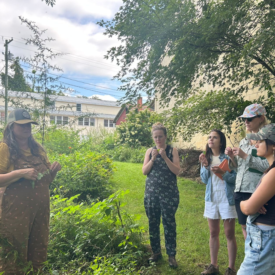 november 1st:  harvest &amp; harmony: autumn permaculture workshop &amp; community exchange