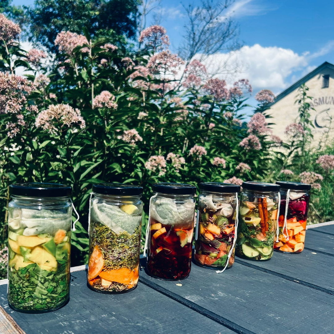 november 1st:  harvest &amp; harmony: autumn permaculture workshop &amp; community exchange