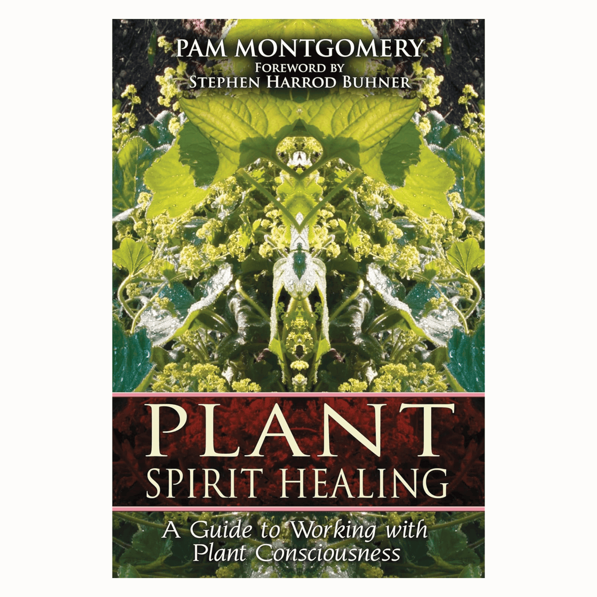 Plant Spirit Healing: A Guide to Working with Plant Consciousness