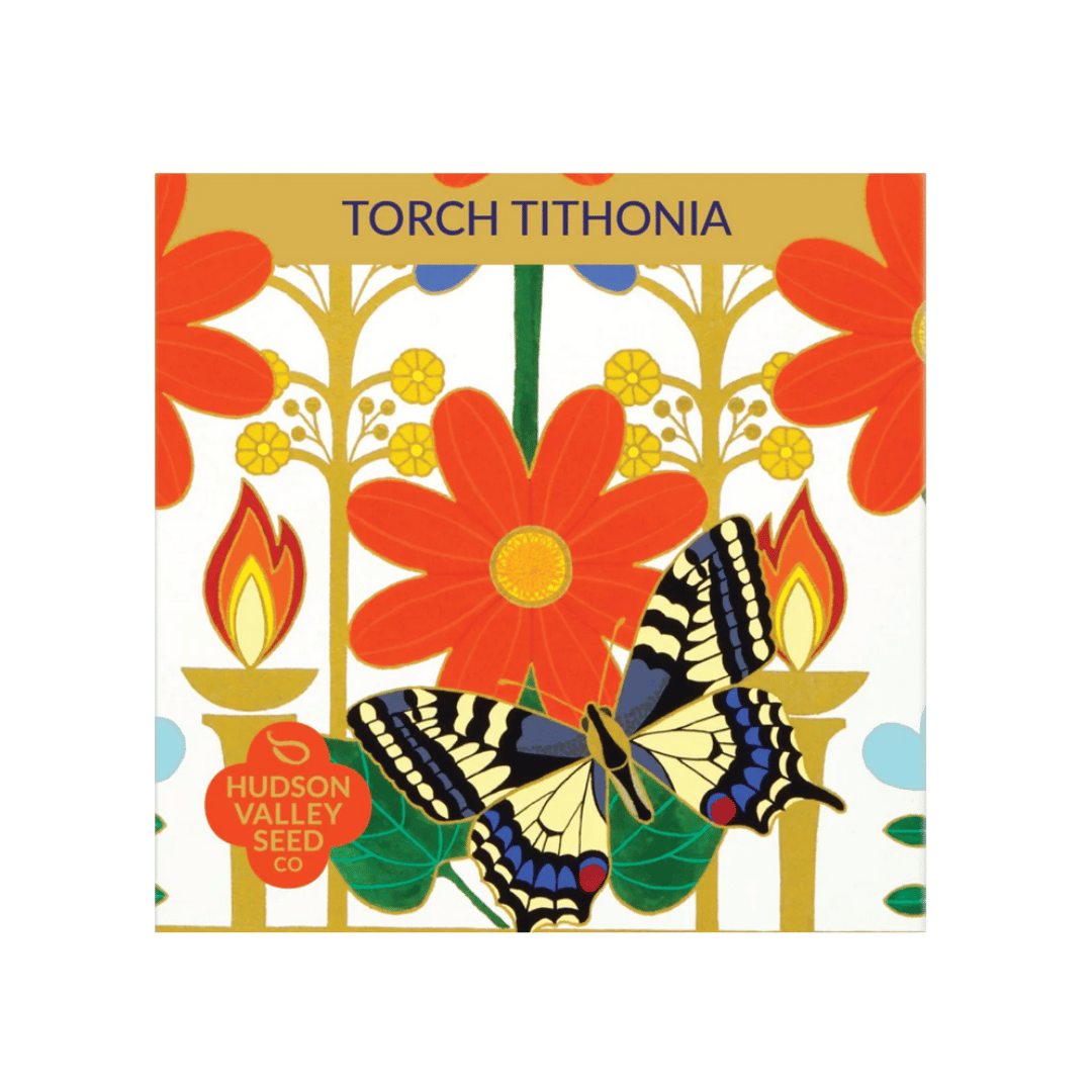 Torch Tithonia Seeds