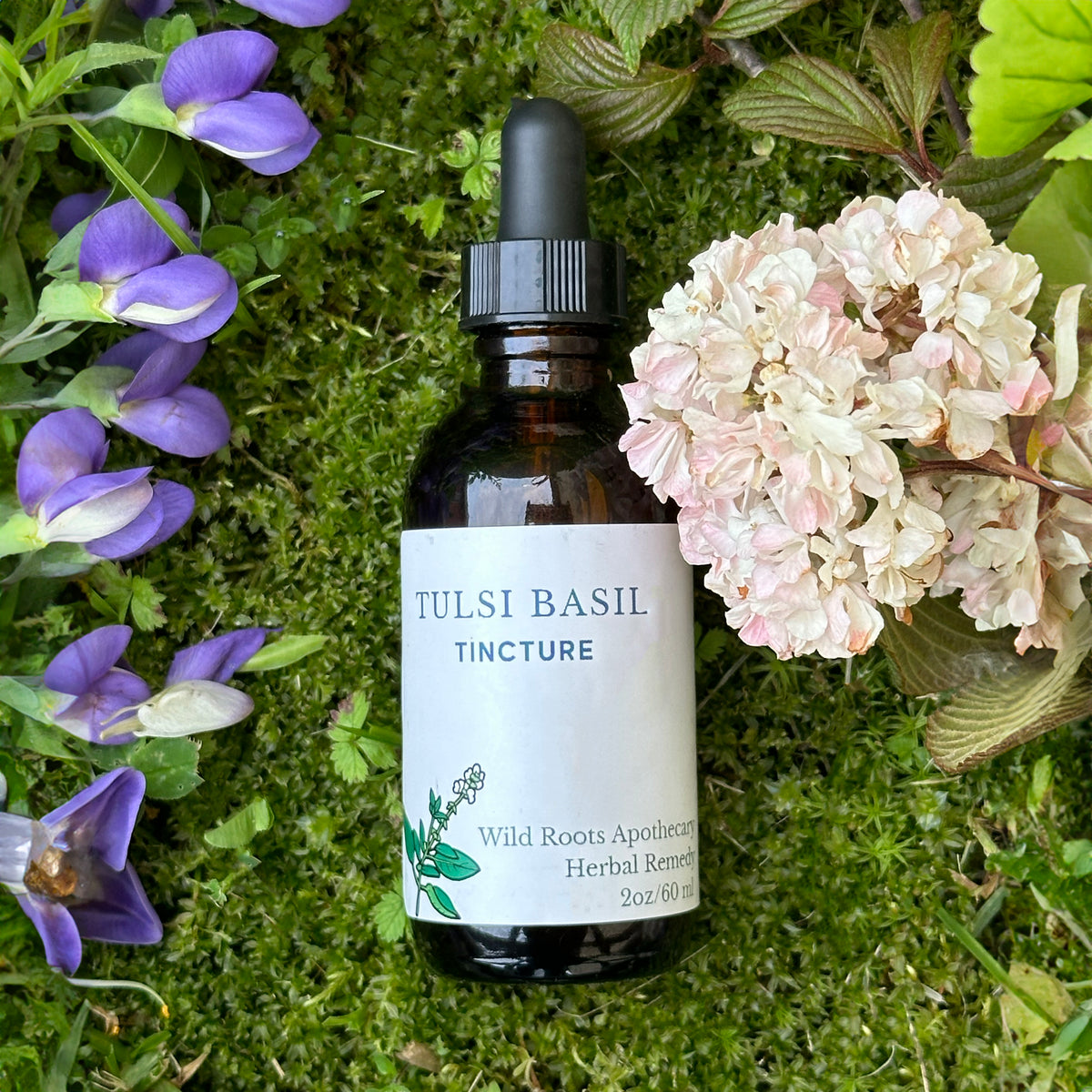 Tulsi Basil Tincture