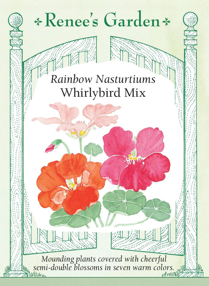 Whirlybird Nasturtium