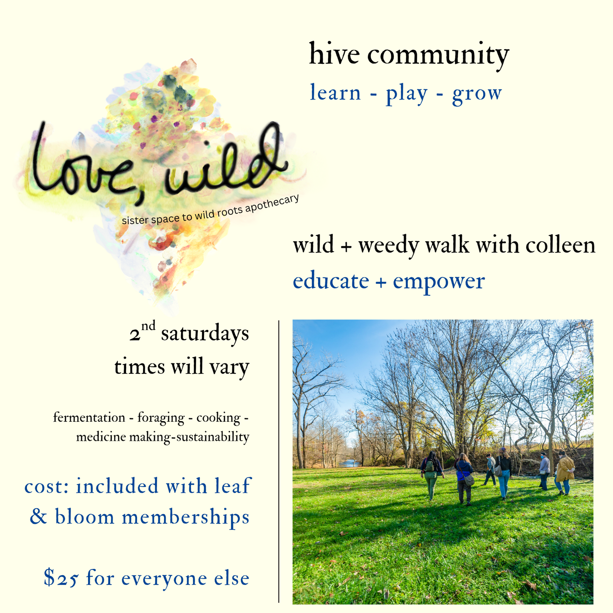 Wild + Weedy Plant ID walks