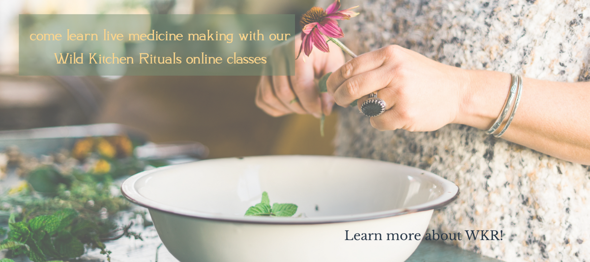 Come learn live medicine making with our Wild Kitchen Rituals online classes