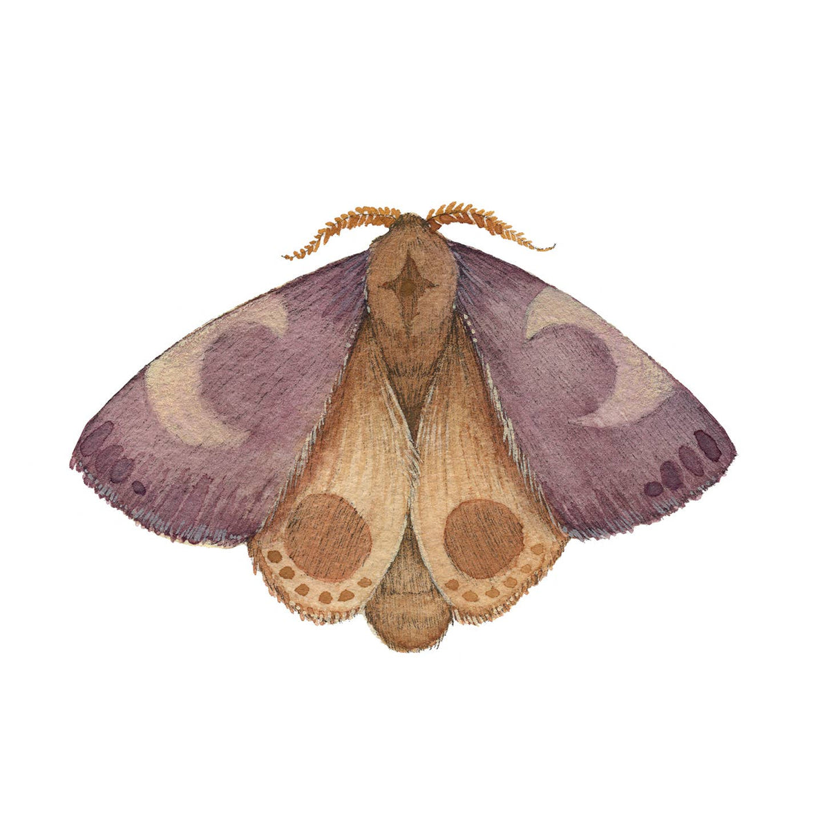 Amethyst // Mineral Moth (5&quot; x 7&quot; Print)