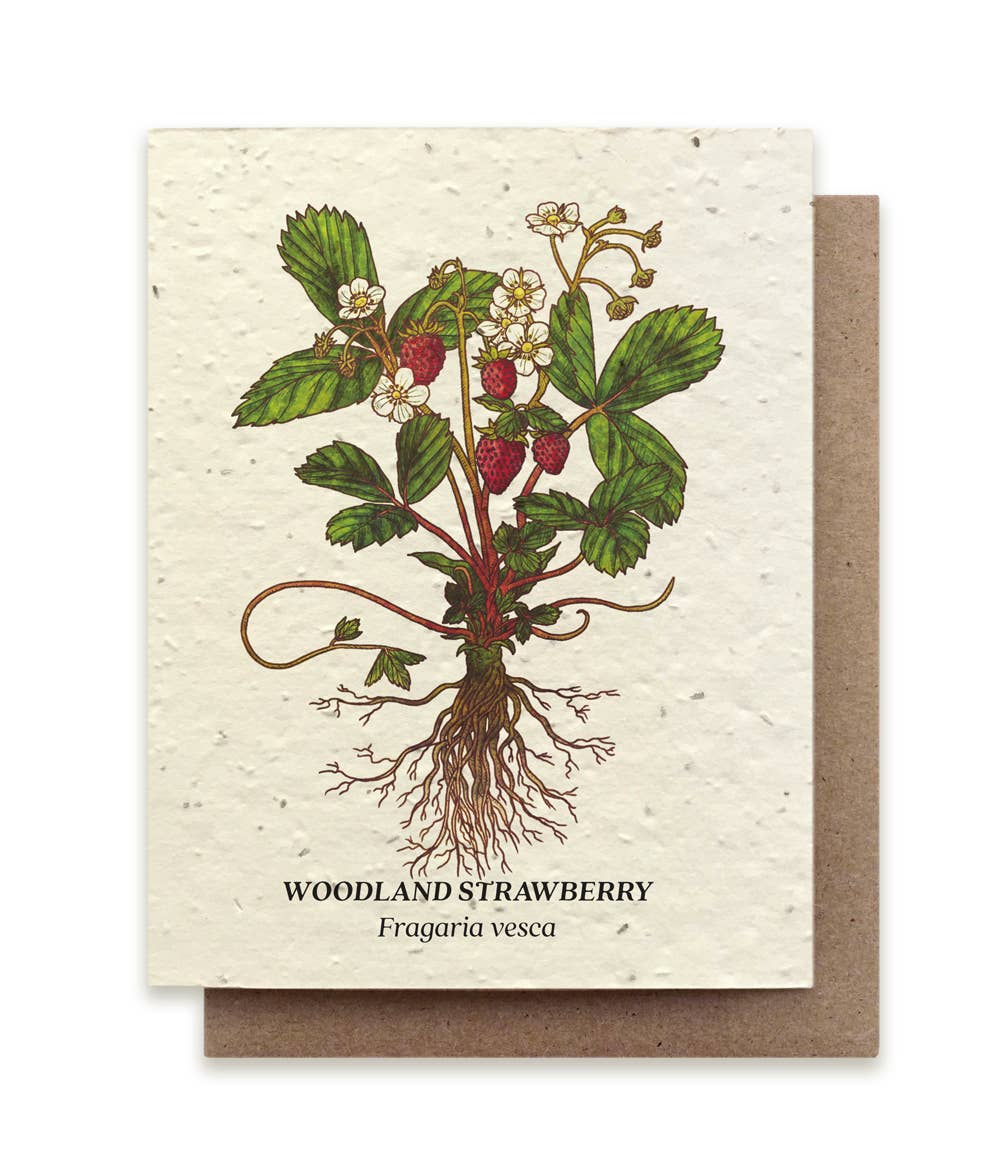 Strawberry Plantable Wildflower Seed Card: No Sleeves