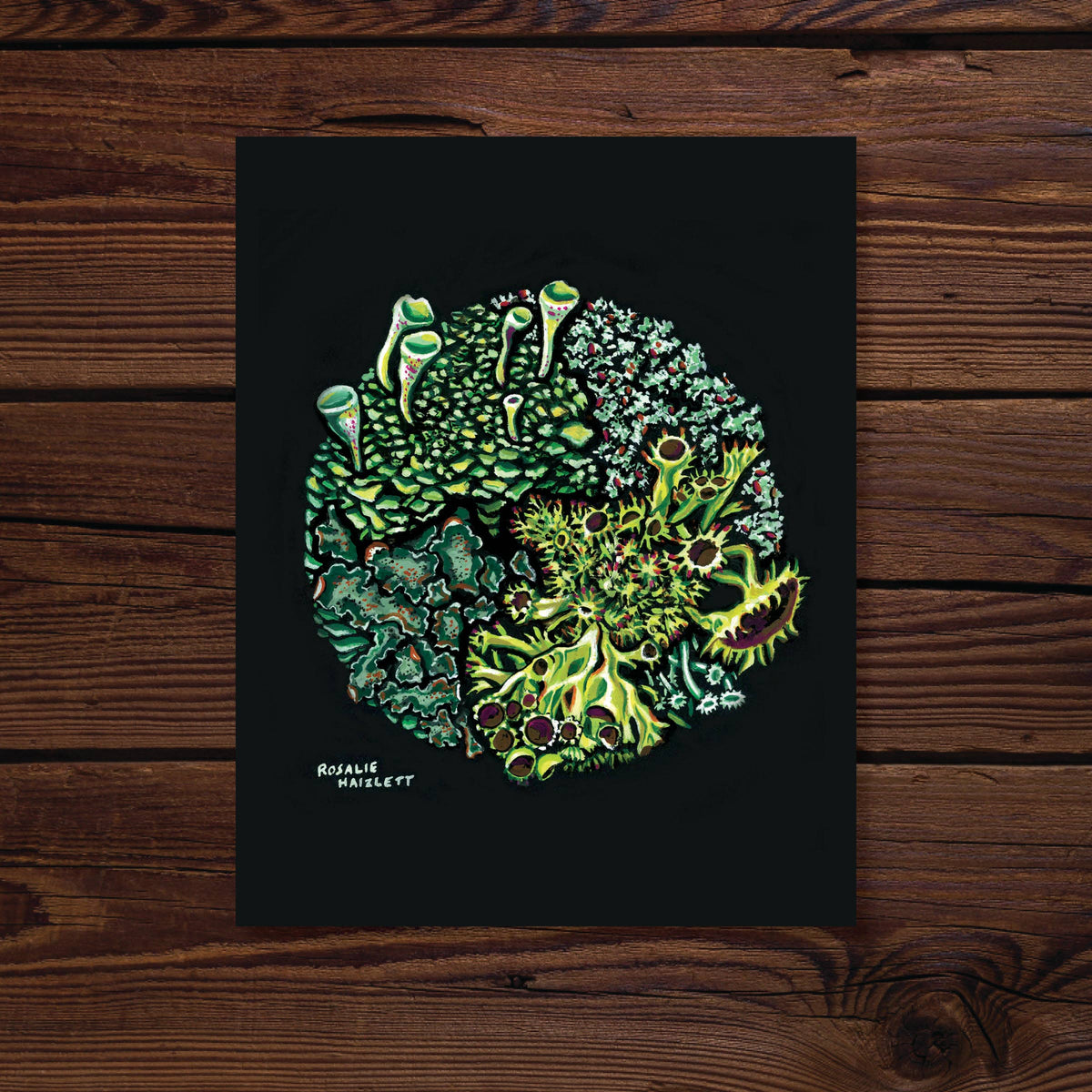 Forest Lichen - Fine Art Print