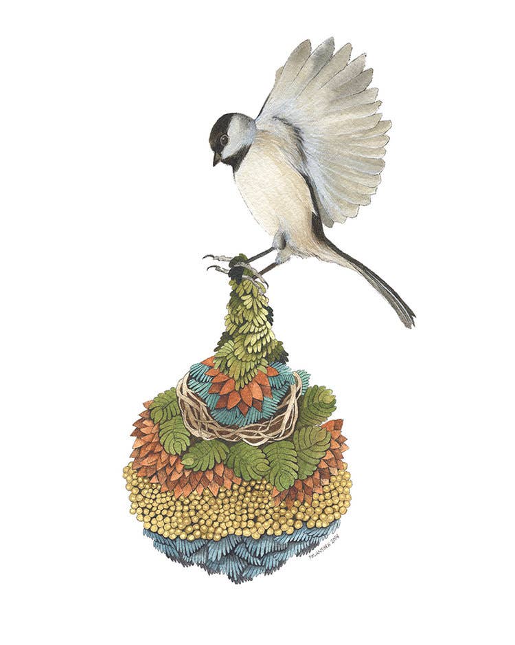 Bird I: Quilted Bundles (8&quot; x 10&quot; Print)