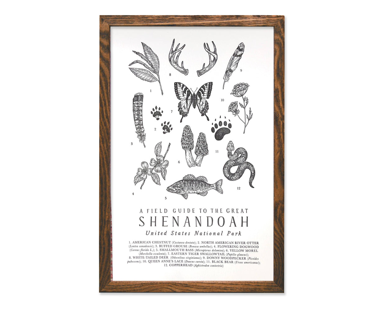 Shenandoah National Park Field Guide