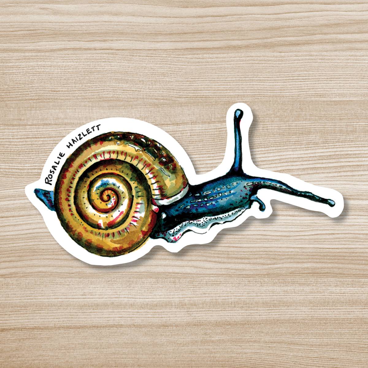 Rosalie Haizlett Illustration - Blue Snail Waterproof Sticker