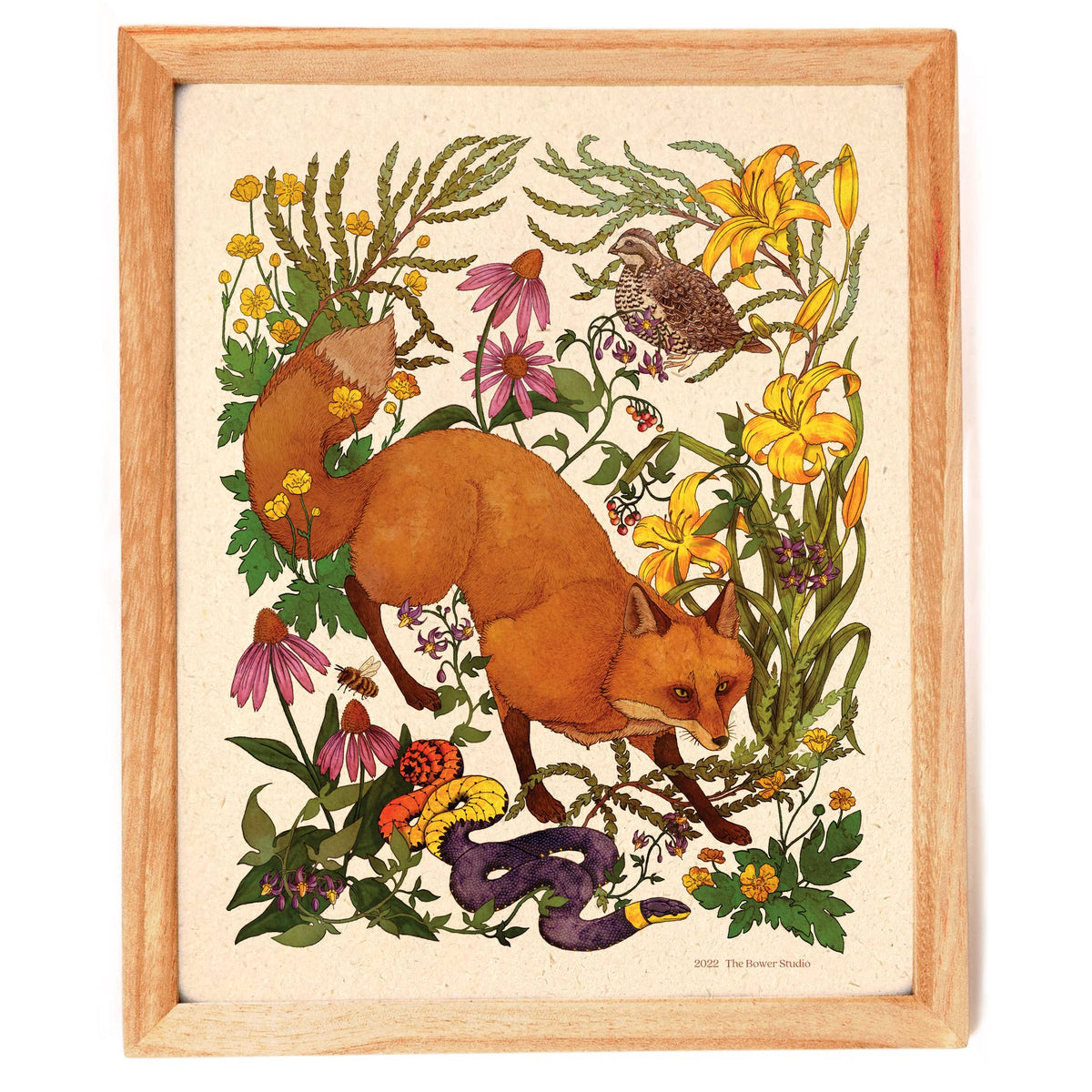 Woodland Meadow Red Fox (8&quot; x 10&quot; Print)