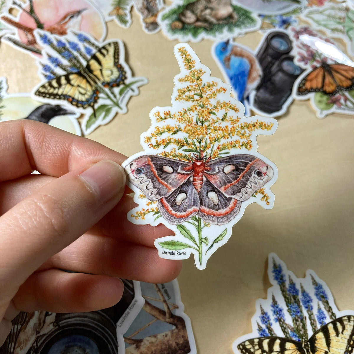 Cecropia Moth On Goldenrod - Vinyl Sticker