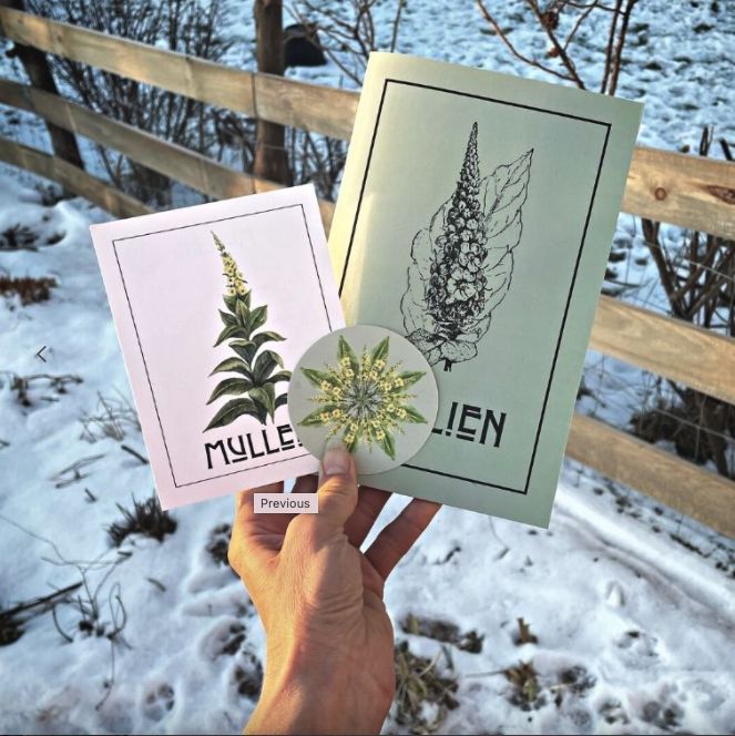 Mullein Zine by Kathi Langelier