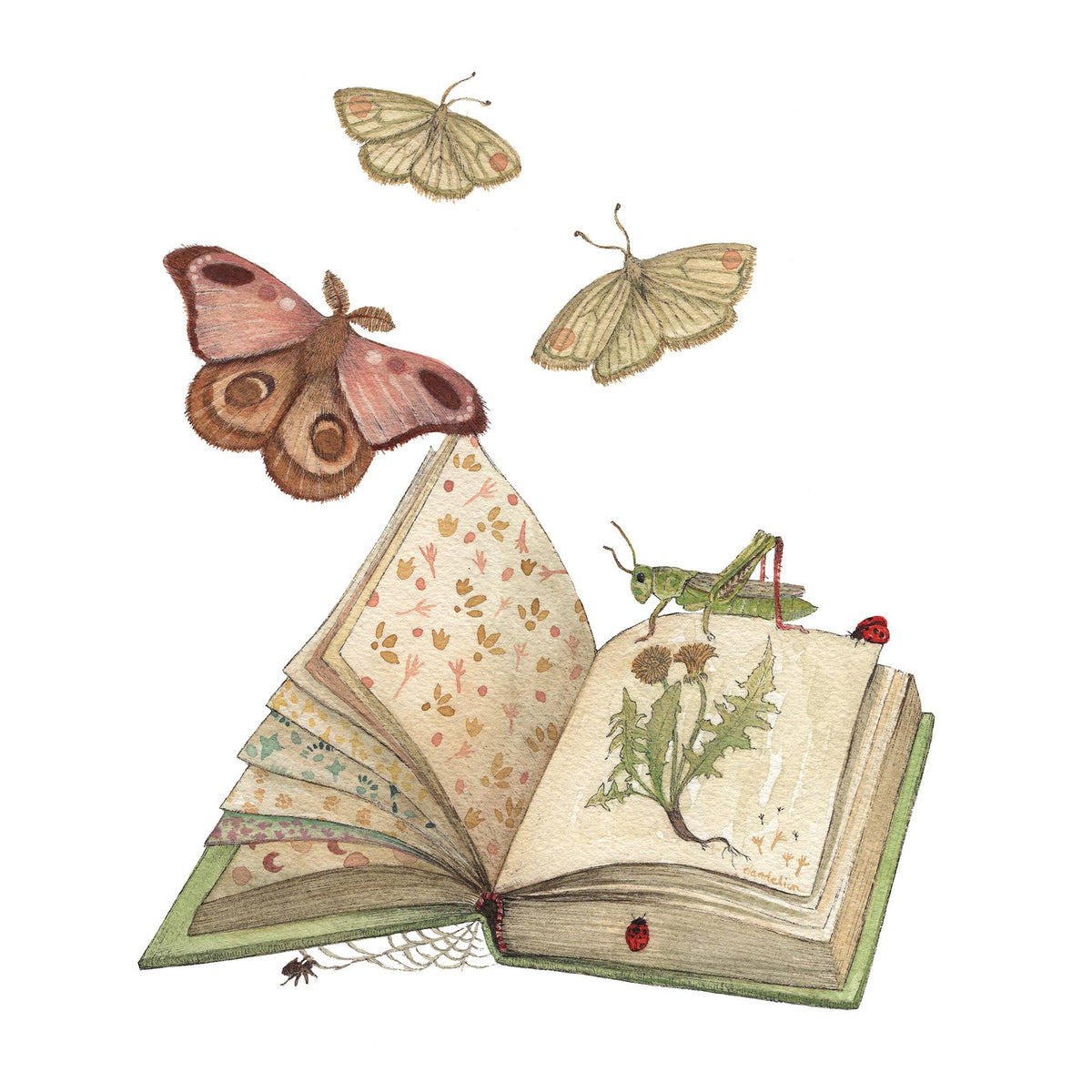 Freya&#39;s Book: Woodland Home (8&quot; x 10&quot; Print)