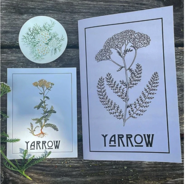 Yarrow Zine by Kathi Langelier