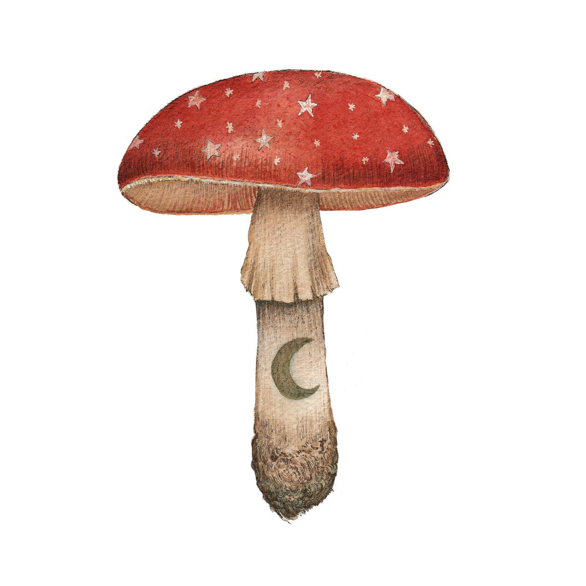 Ruby // Mineral Mushroom (5&quot; x 7&quot; Print)