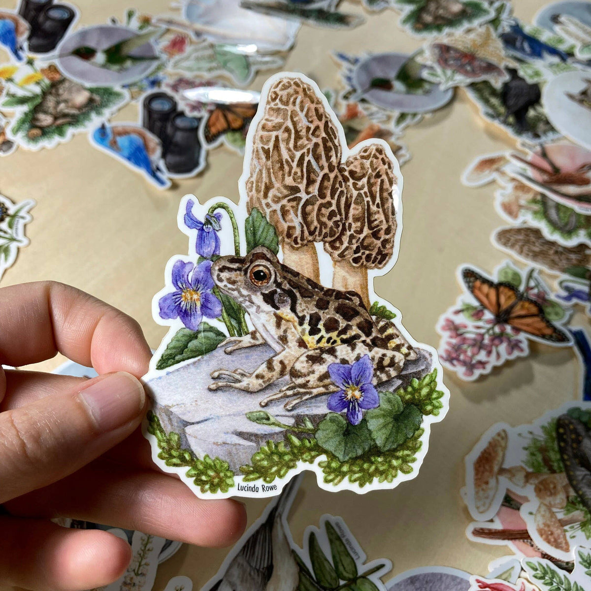 Pickerel Frog With Morels - Vinyl Sticker