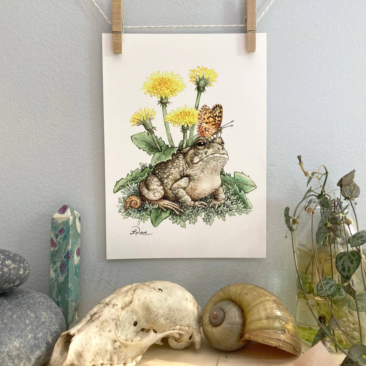 Dandelion Toad (5&quot; x 7&quot; Giclee Print)