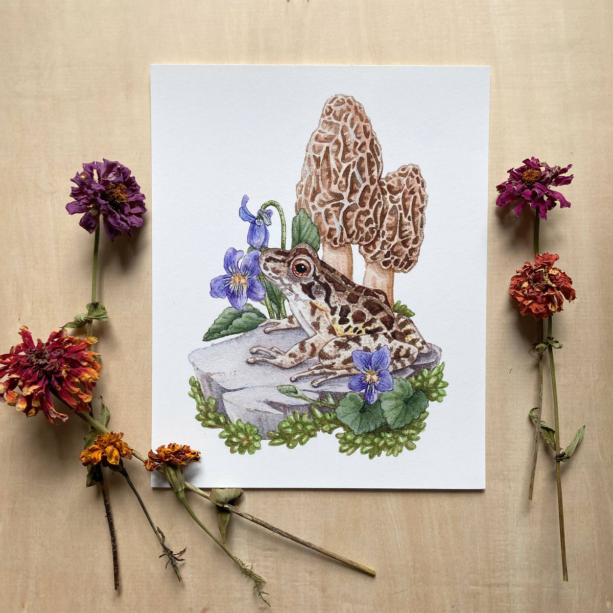 Pickerel Frog with Morels (8&quot; x 10&quot; Giclee Print)
