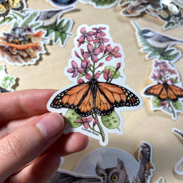 Monarch Butterfly On Honesty - Vinyl Sticker - Wild Roots Apothecary