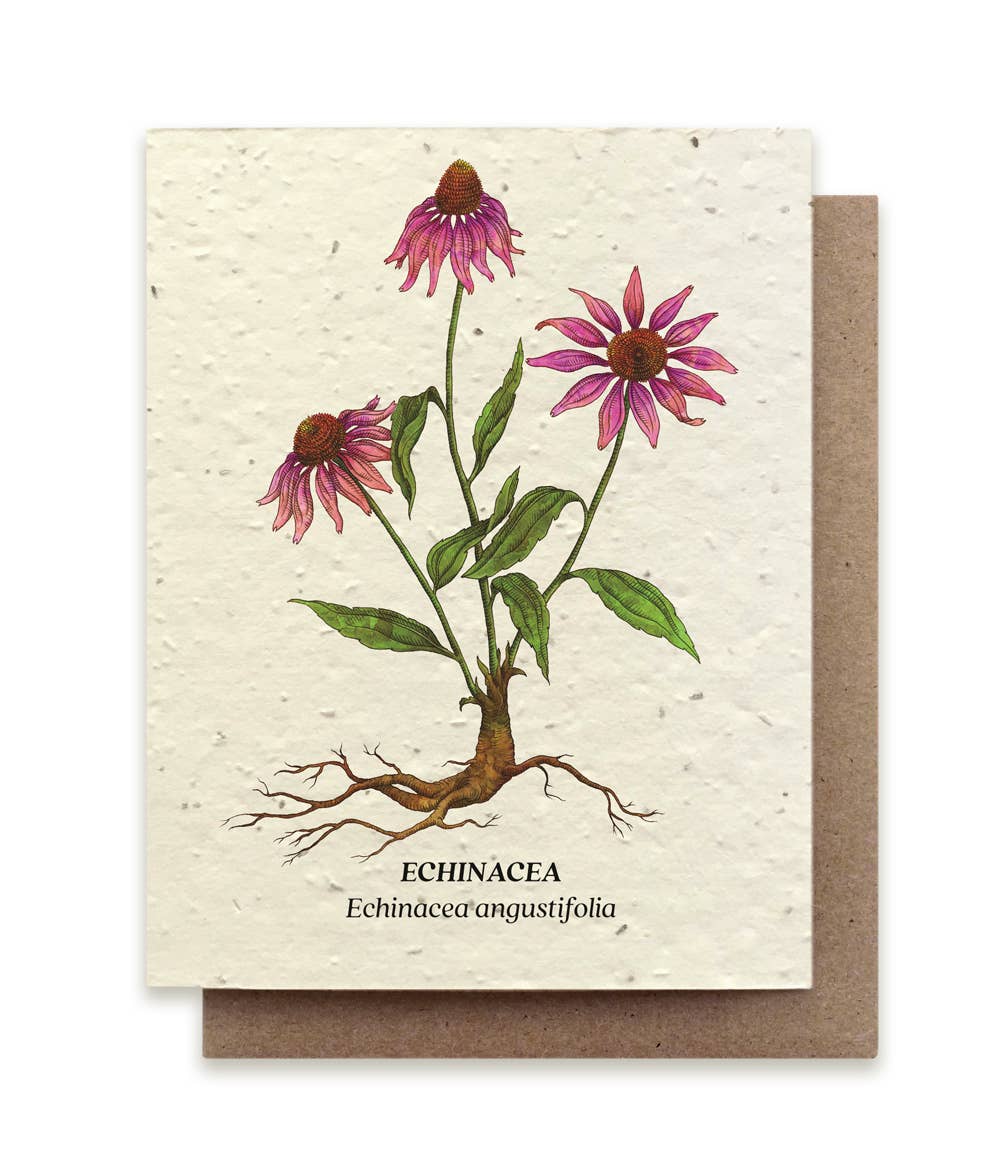Echinacea Plantable Wildflower Seed Card: No Sleeves