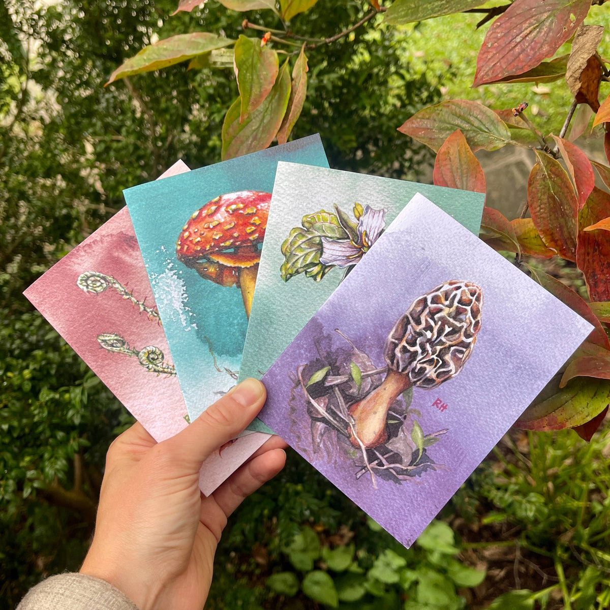 Forest Treasures  - Set of 4 Assorted Greeting Cards