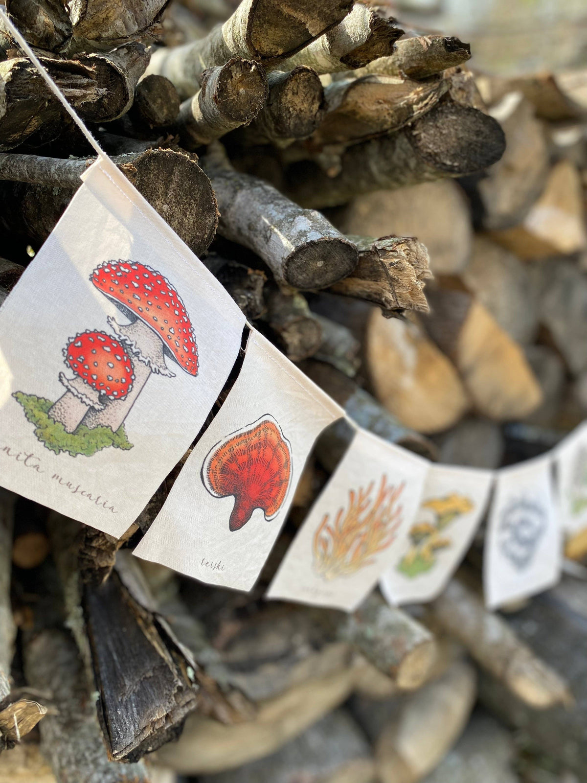 Rainbow Mushrooms Prayer Flag (White)