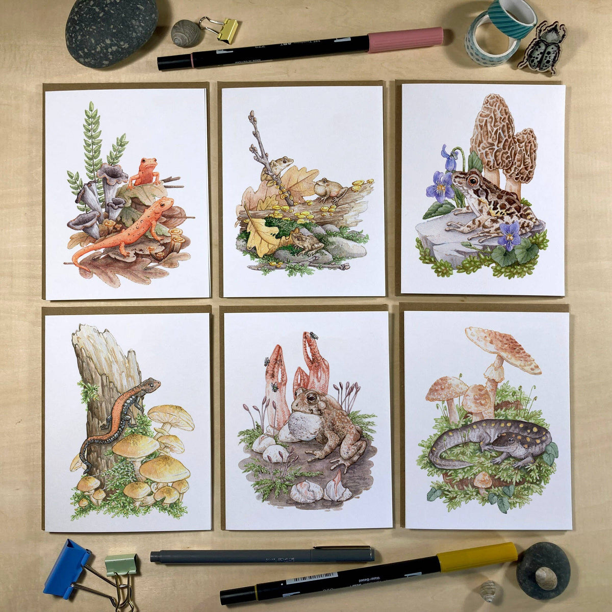 Amphibians &amp; Fungi On Blank Recycled Cards (Set of 6)