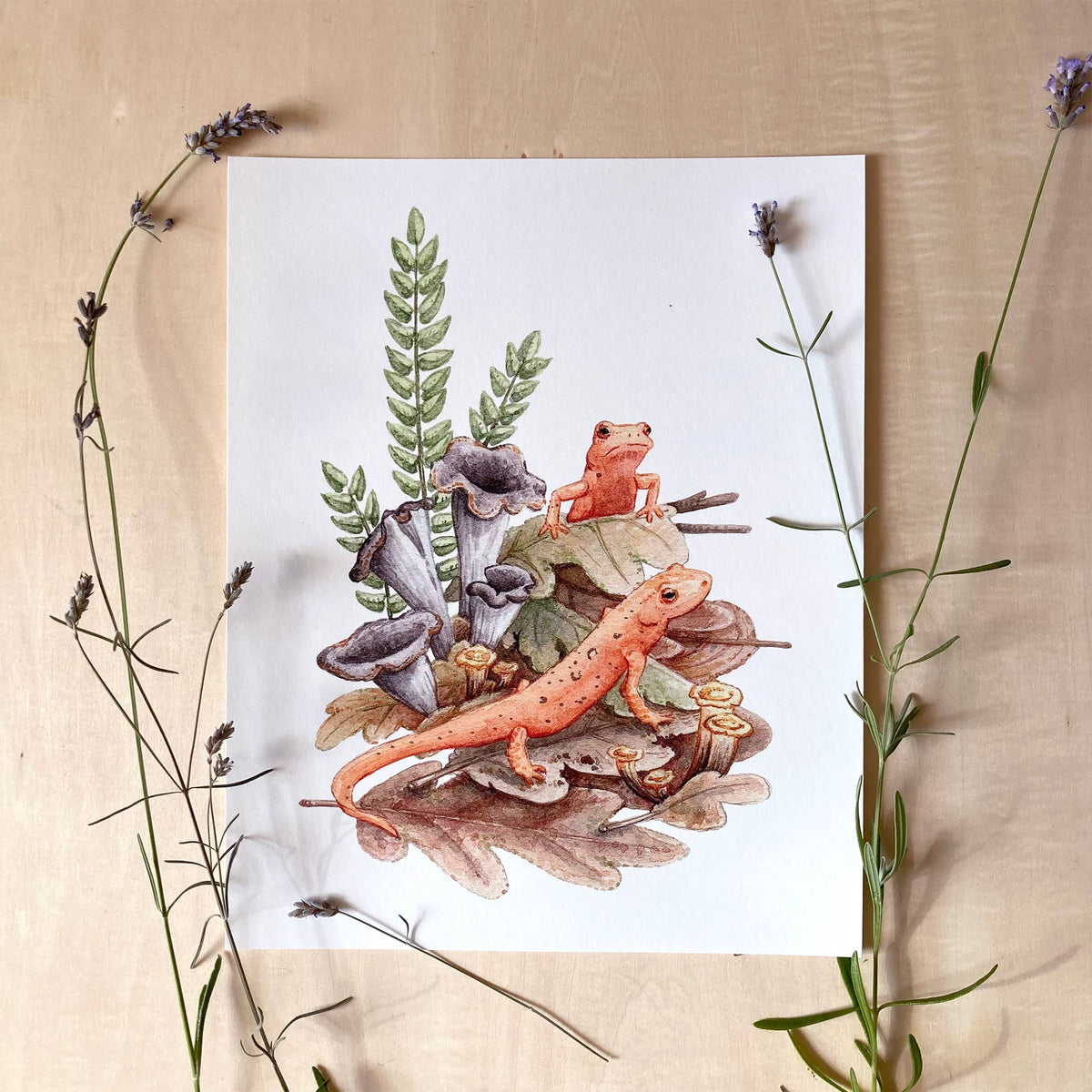 Red Efts with Trumpet Chanterelle (8&quot; x 10&quot; Giclee Print)