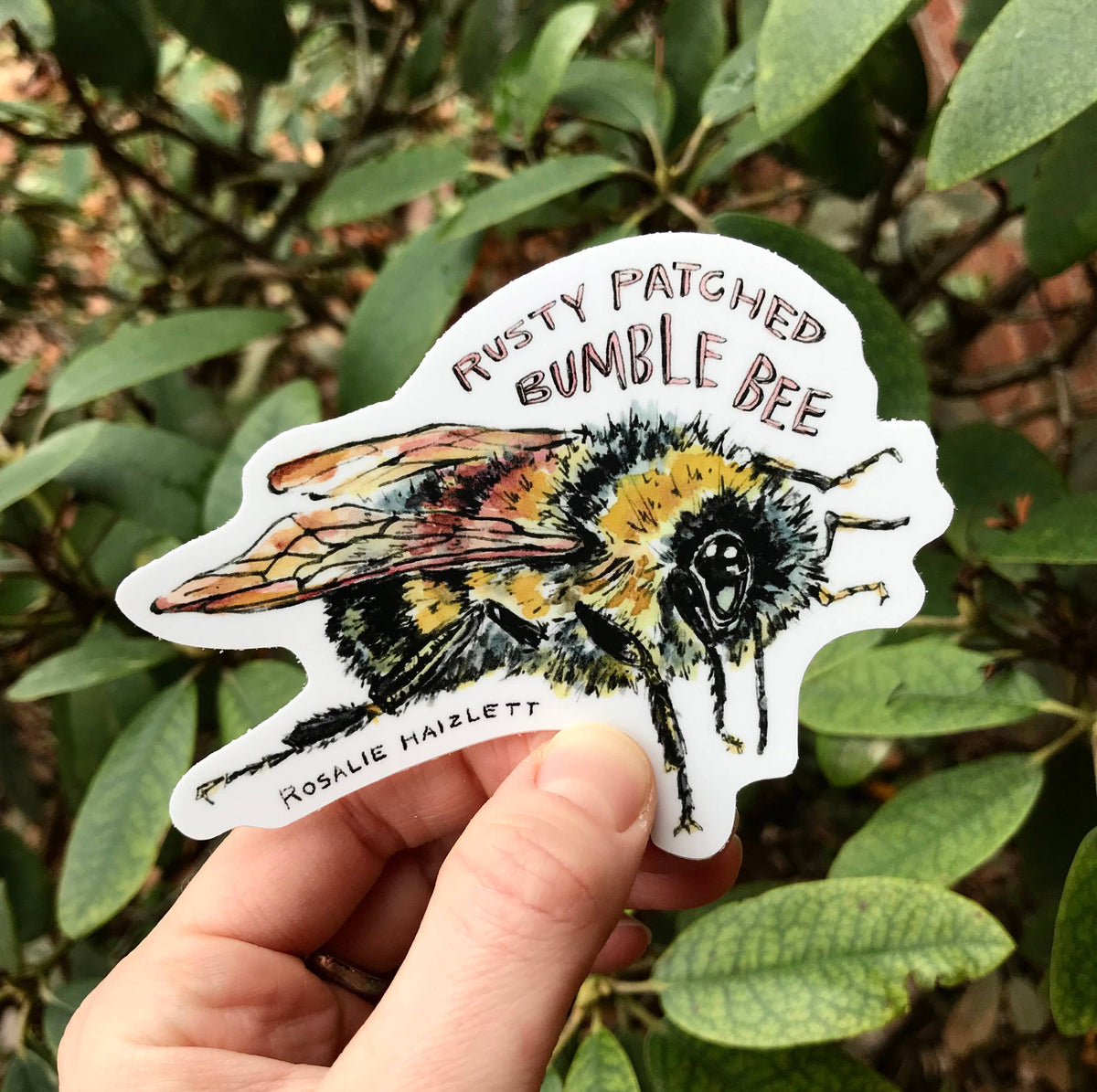 Bumble Bee Waterproof Sticker