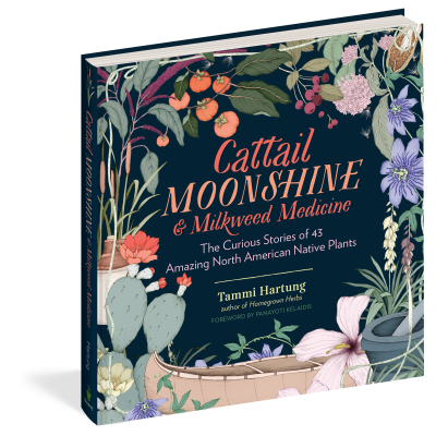 Cattail Moonshine &amp; Milkweed Medicine: The Curious Stories of 43 Amazing North American Native Plants