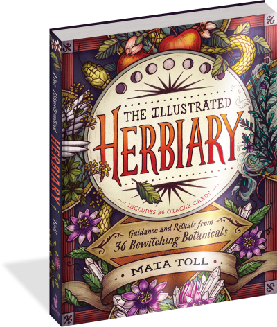 The Illustrated Herbiary: Guidance and Rituals from 36 Bewitching Botanicals