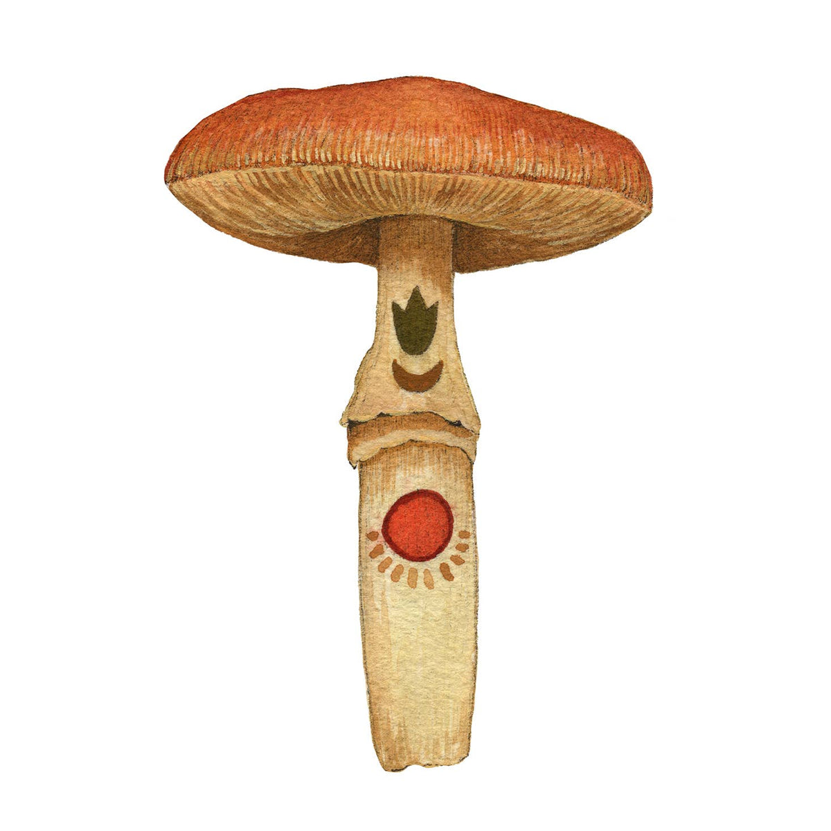 Carnelian // Mineral Mushroom (5&quot; x 7&quot; print)