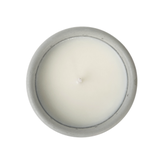 Cactus Cement Soy Candle