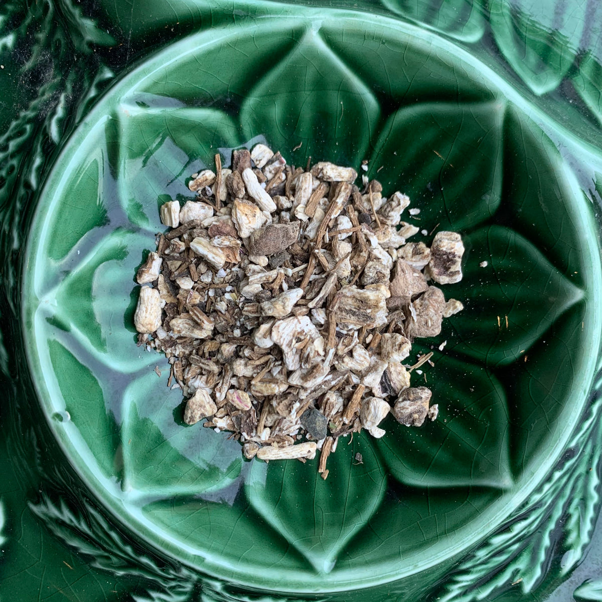 Angelica (Organic)