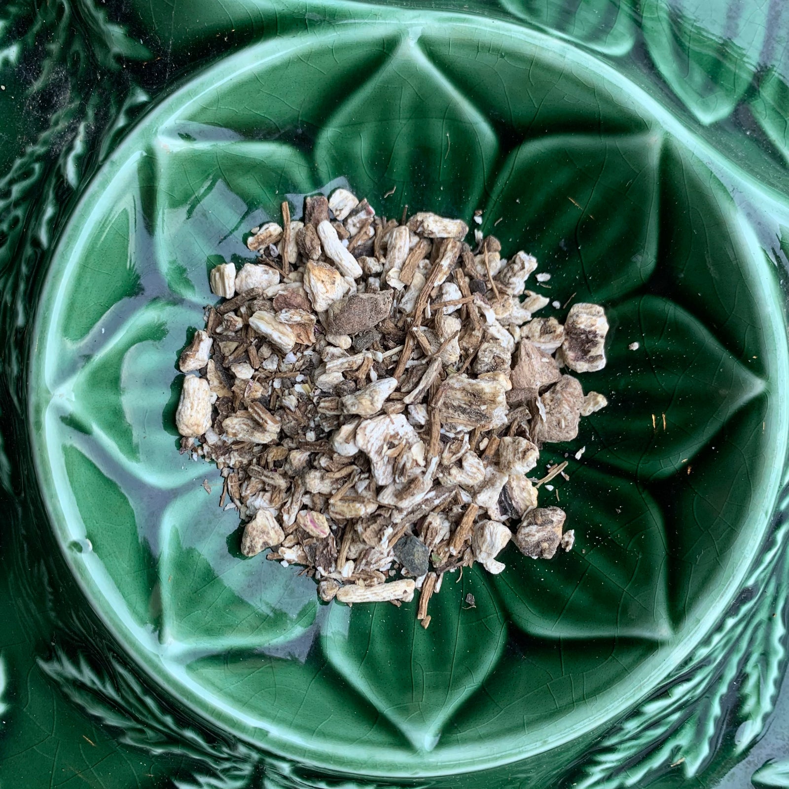 https://www.wildrootsapothecary.com/cdn/shop/products/Angelica_root2_1600x.jpg?v=1625337142