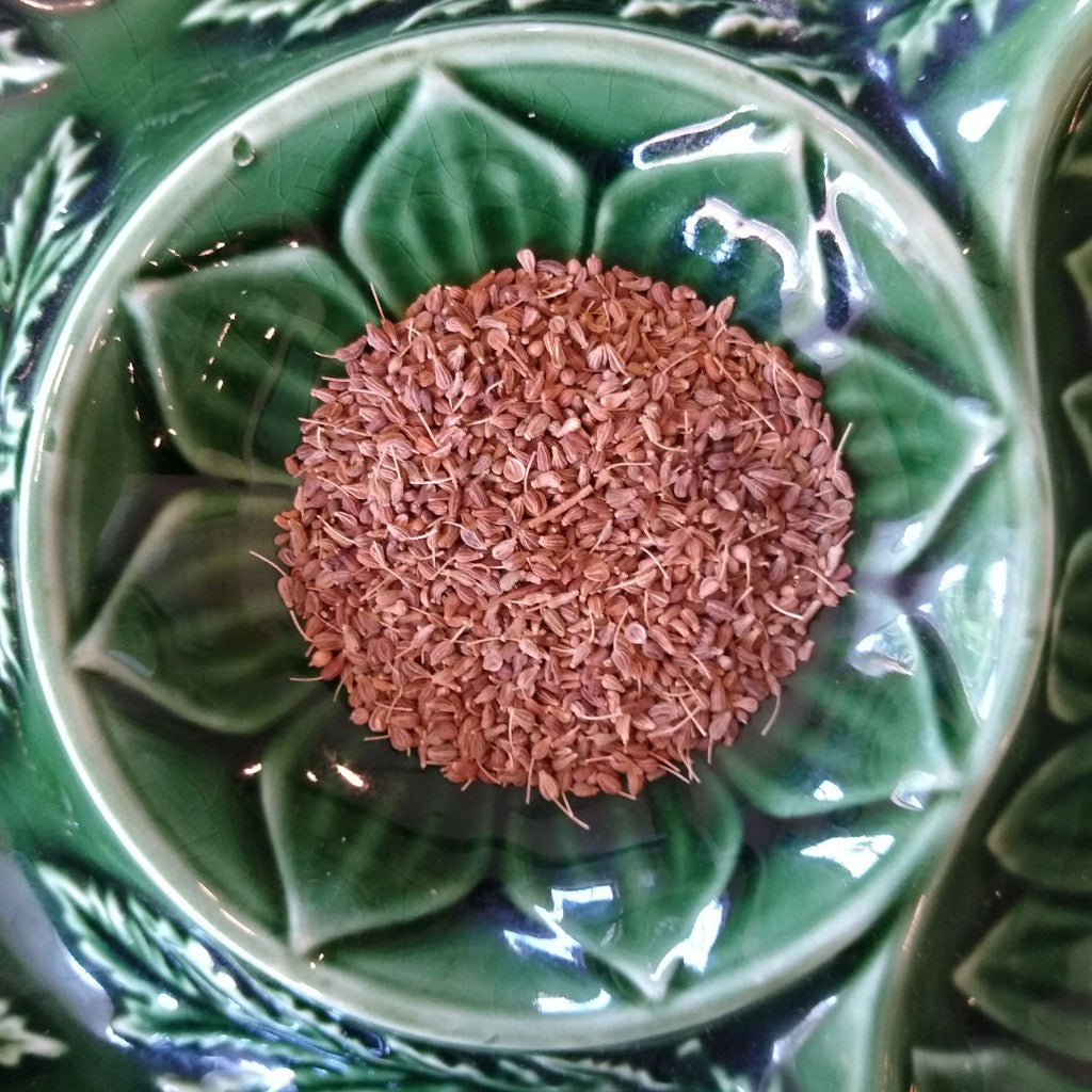Anise Seed (Organic)