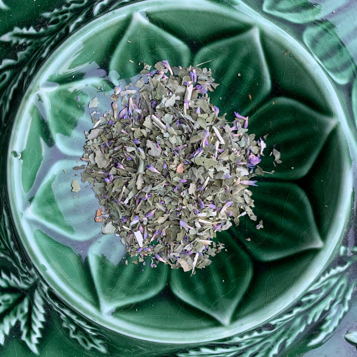 Anise Hyssop (Organic)
