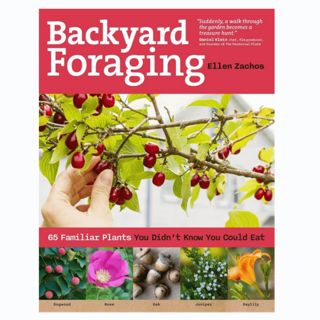 Backyard Foraging: 65 Familiar Plants You Didn’t Know You Could Eat by Ellen Zachos