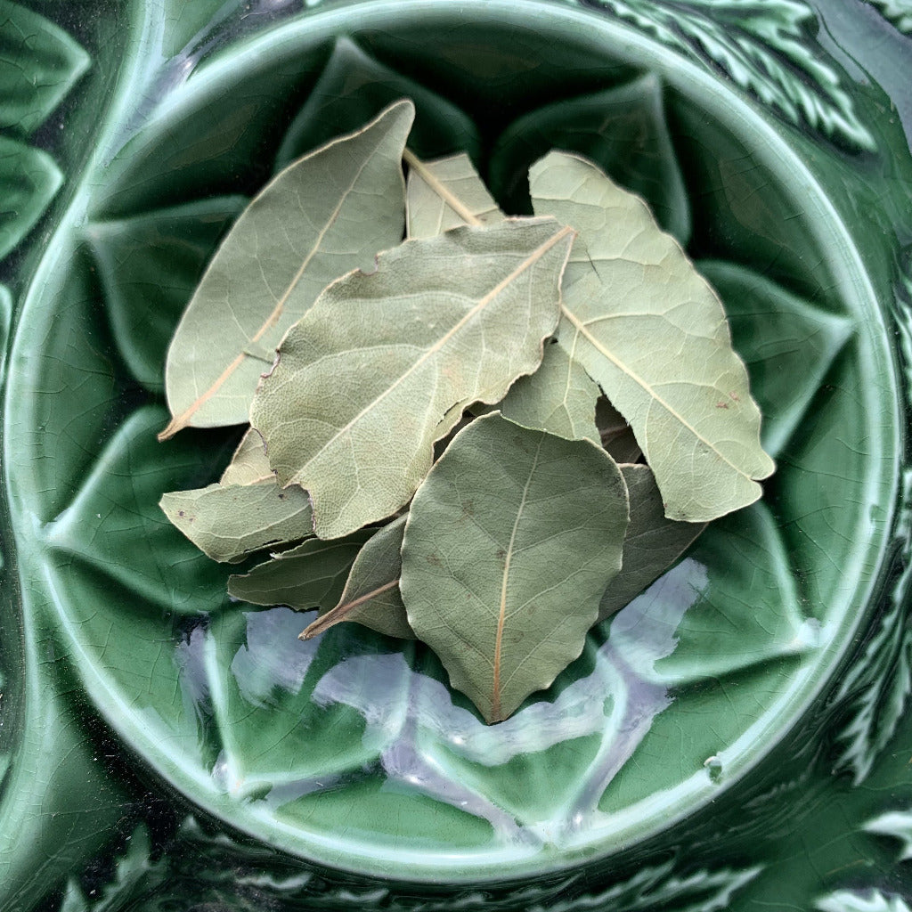Bay Leaf