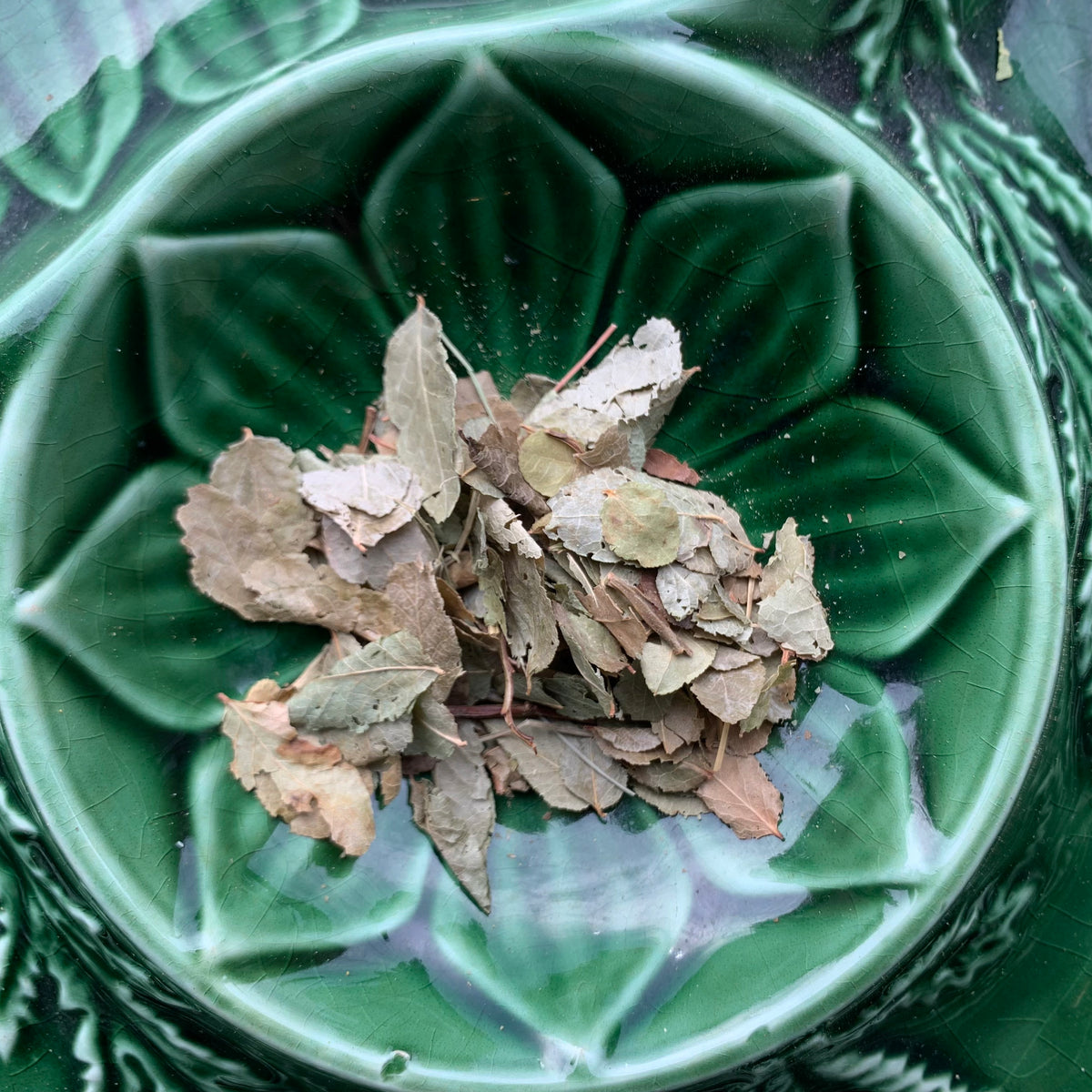 Bilberry Leaf