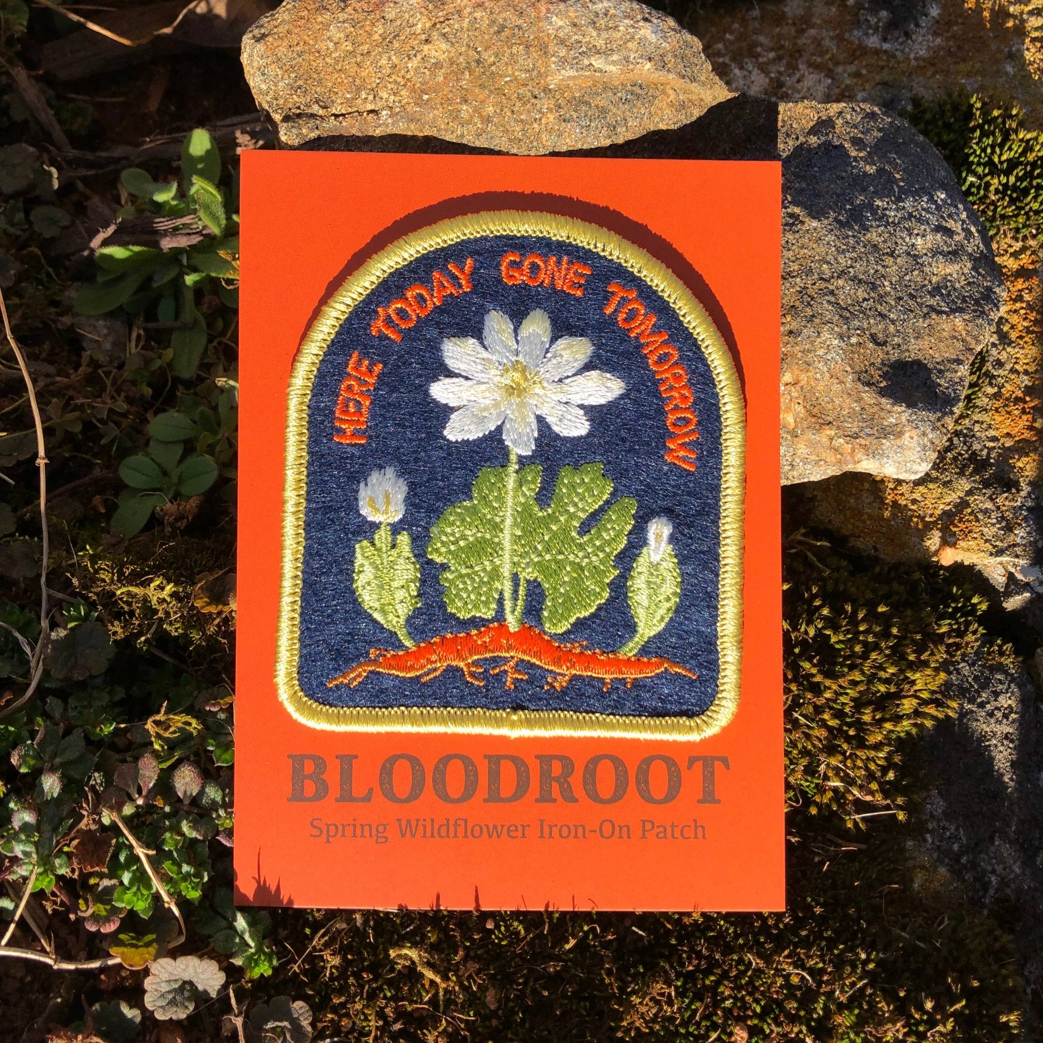 Bloodroot Patch – Wild Roots Apothecary