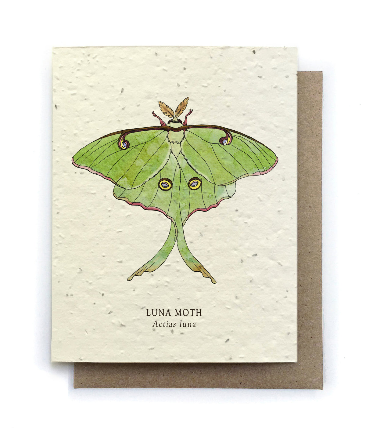 Luna Moth Insect Plantable Seed Card
