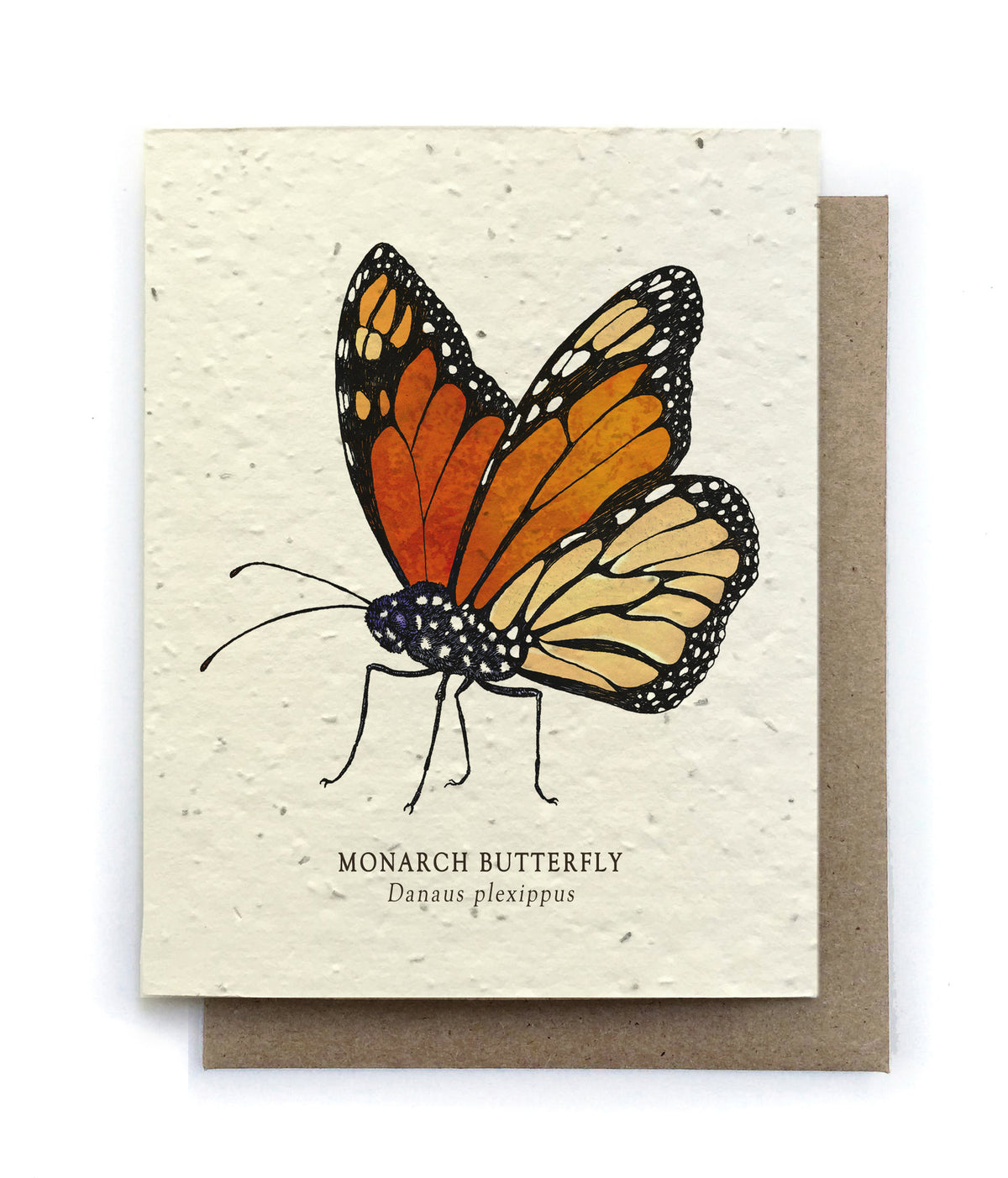 Monarch Butterfly Plantable Herb Seed Card