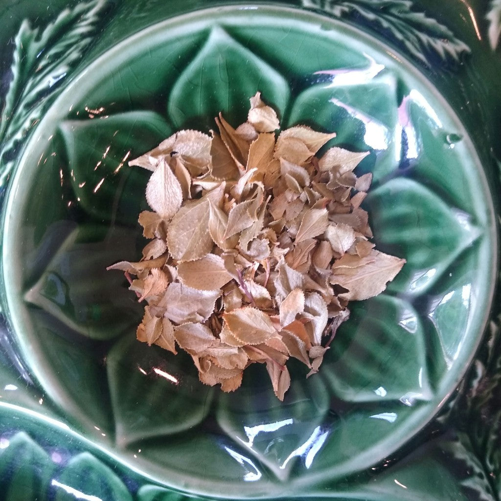 Buchu Leaf (Organic)